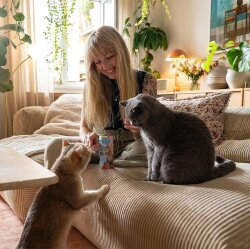 Gimcat Nutripockets Somonlu Kedi Ödülü 60 Gr - 3