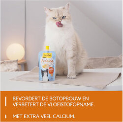 Gimcat Puding with Cheese 100 Gr - 4