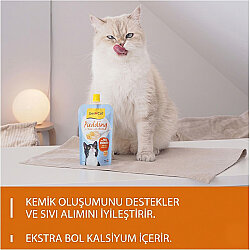 Gimcat Puding with Cheese 100 Gr - 5