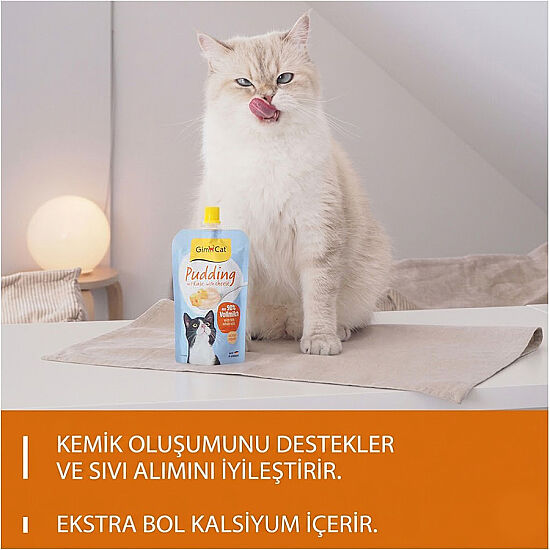 Gimcat Puding with Cheese 100 Gr - 5