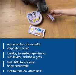 Gimcat Snack Cream Duo Ton Balıklı ve Çim Ek Besin Kedi Ödülü 6 x 15 Gr - 4