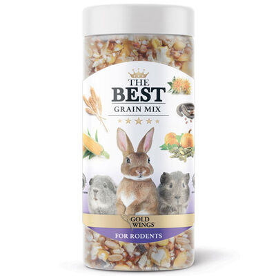 Gold Wings Grain Mix Kemirgenler için Crock Snack Ödül 150 Gr