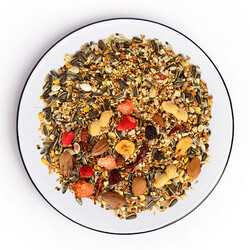 Gold Wings The Best Meyve Nutslı Papağan Yemi 1,25 Kg - Thumbnail