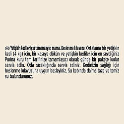 Gourmet Soup Royale Sığır Etli Kedi Çorbası 45 Gr x 30 Adet - 6