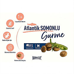 Happy Cat Atlantic Lachs Somonlu Kedi Maması 10 Kg - 4
