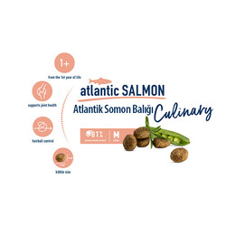 Happy Cat Atlantic Lachs Somonlu Kedi Maması 10 Kg + Biopet 25 ml Malt - Thumbnail