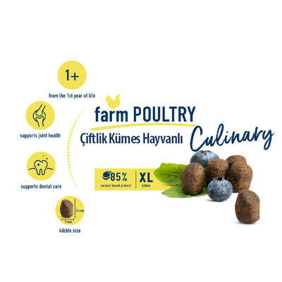 Happy Cat Culinary Land-Geflügel Kümes Hayvanlı Kedi Maması 10 Kg + 5 Adet Happy Cat 100 Gr
