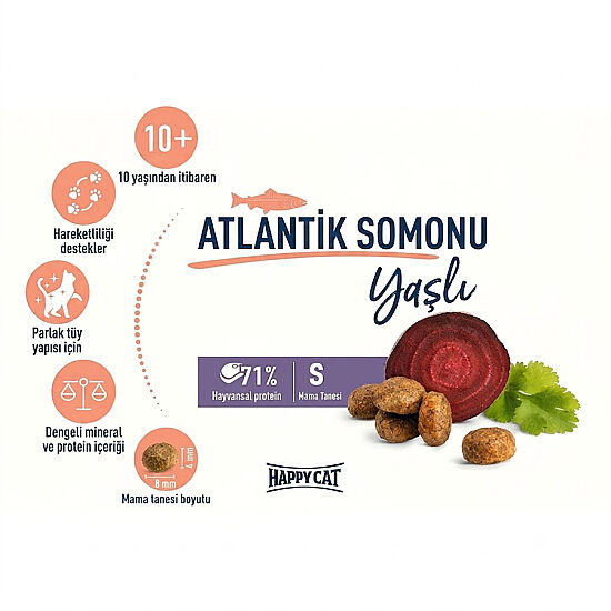 Happy Cat Senior Atlantik Salmon 10 Yaş ve Üzeri Yaşlı Kedi Maması 4 Kg - 4