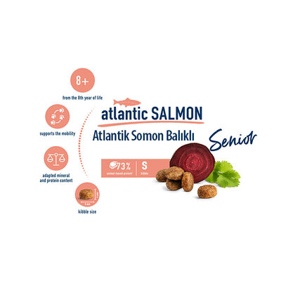 Happy Cat Senior Atlantik Salmon 8 Yaş ve Üzeri Yaşlı Kedi Maması 4 Kg + 2 Adet Temizlik Mendili