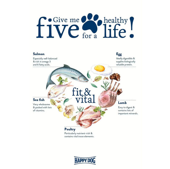 Happy Dog Fit & Vital Maxi Büyük Irk Köpek Maması 14 Kg + 2 Adet Dr. Clauders Biftekli Ödül 80 Gr - 4