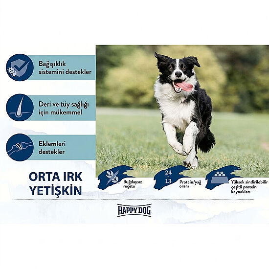 Happy Dog Fit Vital Medium Orta Irk Köpek Maması 12 Kg - 5