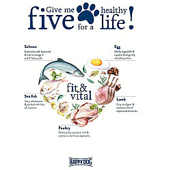 Happy Dog Fit Vital Medium Orta Irk Köpek Maması 4 Kg - 9