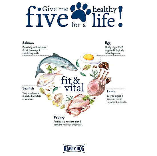 Happy Dog Fit Vital Medium Orta Irk Köpek Maması 4 Kg - 9