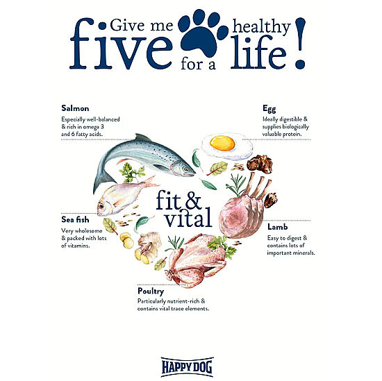 Happy Dog Fit Vital Senior Yaşlı Köpek Maması 4 Kg - 7