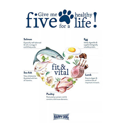 Happy Dog Fit Vital Sport Aktif Yetişkin Köpek Maması 14 Kg - 5
