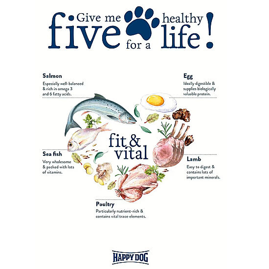 Happy Dog Fit Vital Sport Aktif Yetişkin Köpek Maması 14 Kg - 8