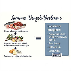 Happy Dog Ireland Somon ve Tavşanlı Köpek Maması 12,5 Kg - 4