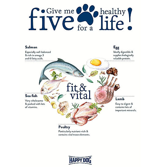 Happy Dog Fit Vital Light Calorie Control Diyet Köpek Maması 4 Kg - 8