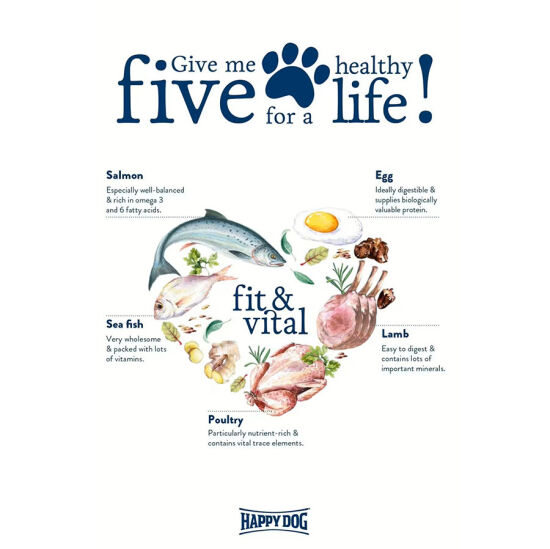 Happy Dog Mini Adult Küçük Irk Köpek Maması 4 Kg + Dr. Clauders Biftekli Ödül Küpleri 80 Gr - 5