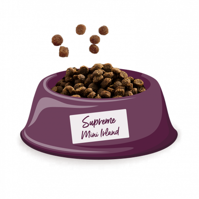 Happy Dog Mini Ireland Tavşan ve Somonlu Küçük Irk Köpek Maması 4 Kg - 4