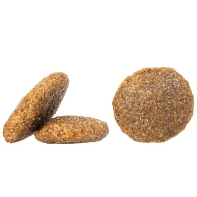 Happy Dog Neuseeland Kuzu Etli Köpek Maması 12,5 Kg - 5