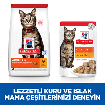 Hills Tavuk Etli Yetişkin Kedi Maması 10 Kg