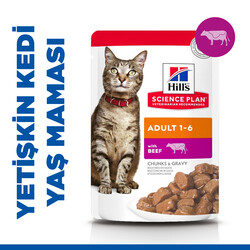 Hills Chunks in Gravy Biftekli Pouch Yetişkin Kedi Yaş Maması 85 Gr - 2