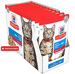 Hills Tender Chunks in Gravy Okyanus Balıklı Kedi Yaş Maması 85 Gr - (12 Adet) - Hills