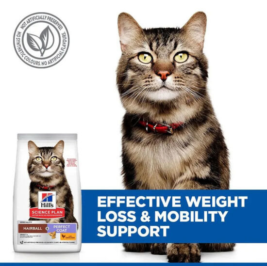 Hills Hairball Perfect Coat Tüy Yumağı Kontrol Tavuklu Kedi Maması 1,5 Kg + Beaphar Malt Macun 100 Gr - 4
