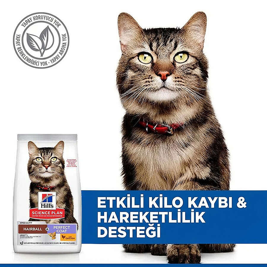 hills-hairball-indoor-tuy-