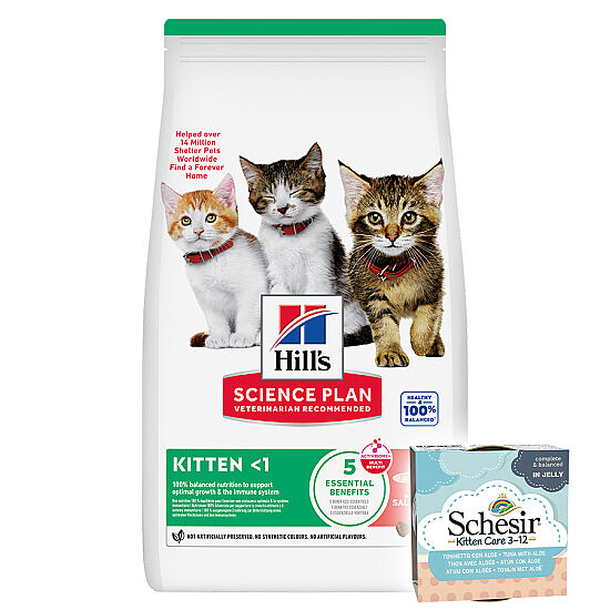 Hills Kitten Somonlu Yavru Kedi Maması 7 Kg + 2 Adet Schesir Ton Balıklı ve Aloe Kedi Konservesi - 1