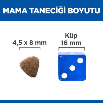 Hills Kitten Tavuklu Yavru Kedi Maması 1,5 Kg + Mama Kabı