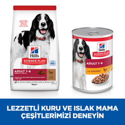 Hills Medium Kuzulu Yetişkin Köpek Maması 14 Kg + Frizbi Oyuncak - Thumbnail