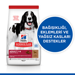 Hills Medium Kuzulu Yetişkin Köpek Maması 14 Kg + Frizbi Oyuncak - Thumbnail