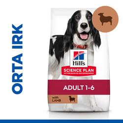 Hills Medium Kuzulu Yetişkin Köpek Maması 14 Kg + Frizbi Oyuncak - Thumbnail