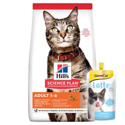 Hills Lamb Kuzulu Yetişkin Kedi Maması 10 Kg + Gimcat Milk Latte 200 ML - Hills