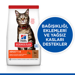 Hills Lamb Kuzulu Yetişkin Kedi Maması 10 Kg - Thumbnail