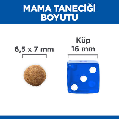 Hills Lamb Kuzulu Yetişkin Kedi Maması 10 Kg + Mama Kabı