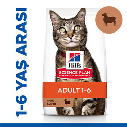 Hills Lamb Kuzulu Yetişkin Kedi Maması 10 Kg + Mama Kabı - Thumbnail