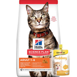 Hills Lamb Kuzulu Yetişkin Kedi Maması 3 Kg + Gimcat Kedi Pudingi 150 Gr - Hills