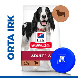 Hills Lamb Kuzulu Yetişkin Köpek Maması 2,5 Kg + Frizbi Oyuncak - Thumbnail