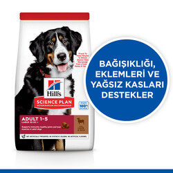 Hills Large Breed İri Irk Kuzulu Köpek Maması 14 Kg + Frizbi Oyuncak - Thumbnail