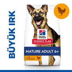 Hills - Hill's Mature 6+ Tavuklu Büyük Irk Yaşlı Köpek Maması 14 Kg + 4 Adet Temizlik Mendili