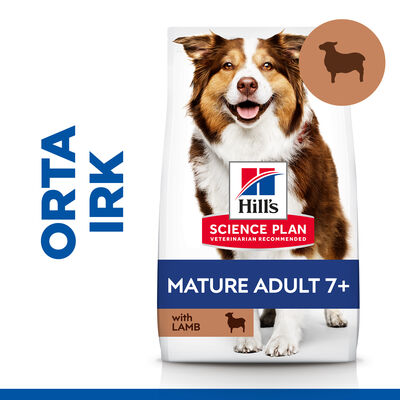 Hills Mature +7 Lamb Kuzulu Yaşlı Köpek Maması 14 Kg + Seyyar Mama Kabı