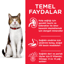 Hills Mature Tavuk Etli Yaşlı Kedi Maması 3 Kg - Thumbnail