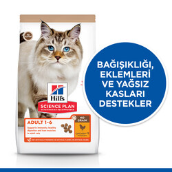 Hills No Grain Chicken Tavuklu Tahılsız Kedi Maması 1,5 Kg - Thumbnail