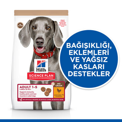 Hills No Grain Large Tavuklu Tahılsız Büyük Irk Köpek Maması 12 Kg + Top Fırlatıcı Oyuncak