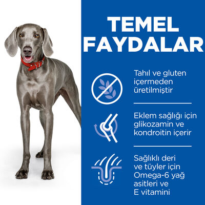 Hills No Grain Large Tavuklu Tahılsız Büyük Irk Köpek Maması 12 Kg + Frizbi Oyuncak