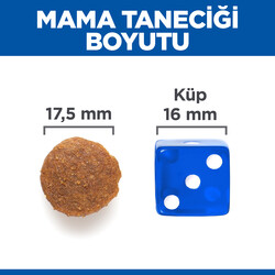 Hills No Grain Large Tavuklu Tahılsız Büyük Irk Köpek Maması 12 Kg + Top Fırlatıcı Oyuncak - Thumbnail