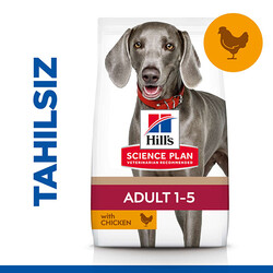 Hills No Grain Large Tavuklu Tahılsız Büyük Irk Köpek Maması 12 Kg + Top Fırlatıcı Oyuncak - Thumbnail